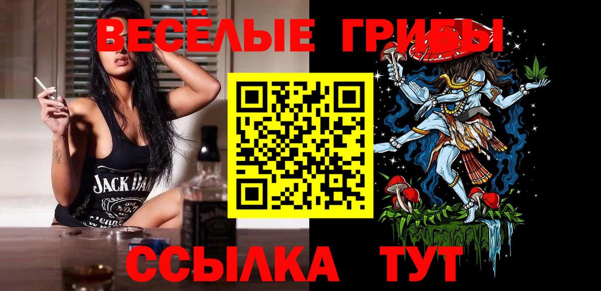 даркнет сайт  Псилоцибиновые грибы ЛСД  Вход с VPN  Чернушка 